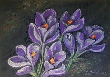Žafrani lila  (Pastel - 2022) Jožef Anžič